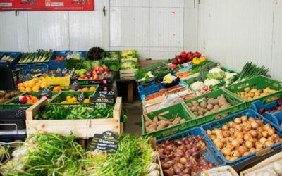 Légumes de saison à Sarralbe : l’engagement d’Est Fruits pour la qualité et le local